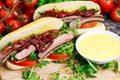Perfect steak sandwich with home mayones and chips Royalty Free Stock Photo