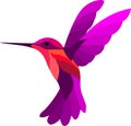 colourful of humming bird is flying