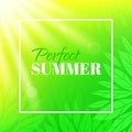 Perfect summer. Banner with typographic design. Background with leaves and sun