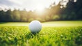 Perfect Summer Day at the Golf Course with Sharp Landscape Details and Dreamy Silhouette