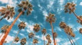 A perfect summer day and tall palms. Generative AI