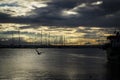 Perfect sunset and flying seagull in Pendik Marina  ÃÂ°stanbul Royalty Free Stock Photo