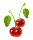 Perfect sweet cherries with the leaf isolated on a white background Royalty Free Stock Photo