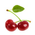 Perfect sweet cherries with the leaf isolated on a white background Royalty Free Stock Photo