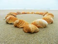 Card background shells on the beach top view heart shape next to the ocean