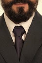 Perfect to the last detail. Classic suit with white shirt collar and elegant tie. Bearded businessman style close up