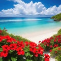 The Perfect Tranquil Beach Paradise on a Sunny Day