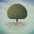 A perfect tree Royalty Free Stock Photo