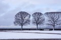 Perfect trees in spring, perfectionism, symmetry