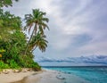 Perfect Tropical Beach in Maldives