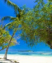 Perfect tropical island Maldives paradise beach Beautiful tropical beach Royalty Free Stock Photo