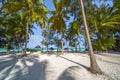 Perfect tropical white sandy beach with palm trees Royalty Free Stock Photo
