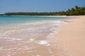 A perfect vacation image of a beach and palm trees in tropical Tonga Royalty Free Stock Photo