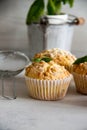 Small muffins with lemon and basil Royalty Free Stock Photo