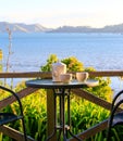 Perfect view from restaurant deck overlooking Coromandel coast