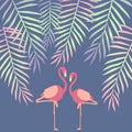 Beautiful vector floral summer pattern background with flamingo Royalty Free Stock Photo