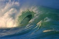 The Perfect Wave Royalty Free Stock Photo