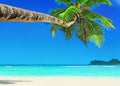 Perfect white sandy palm beach Baie Lazare, Mahe island, Seychelles