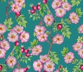 Watercolor wild rose pattern with teal background