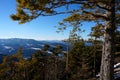 Perfect winter hiking day: Beautiful view from vista Point Kleine Kanzel at Hohe Wand Mountain in Lower Austria Royalty Free Stock Photo