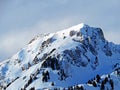 The perfect winter landscape on a snowy alpine peak LÃÂ¼tispitz (Luetispitz or Lutispitz) in Alpstein mountain Royalty Free Stock Photo