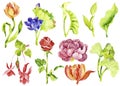 Flowers watercolor clipart.