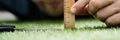 Perfectionist Measure Perfect Grass. Obsessed Meticulous Royalty Free Stock Photo