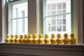 A perfectly aligned row of rubber duckies on a windowsill Royalty Free Stock Photo