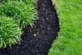 Perfectly cut edge of lawn next to fresh mulch and compost mixture filled in new spring flowerbed with hemerocallis perennial