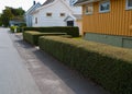 Perfectly cut hedge in front of a yellow house Royalty Free Stock Photo