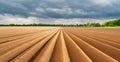 Perfectly even rows of plowed land on an agricultural field