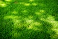 Perfectly mowed fresh garden lawn in summer. Green grass with sunspots. Royalty Free Stock Photo