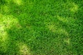 Perfectly mowed fresh garden lawn in summer. Green grass with sunspots. Royalty Free Stock Photo