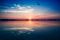 Specular reflection on Molentargius pond in Cagliari at sunset with seagull ad flamingos Royalty Free Stock Photo