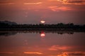 Perfectly specular reflection of the sun going down on the pond at sunset. Royalty Free Stock Photo