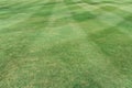 Perfectly striped freshly mowed garden