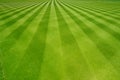 Perfectly striped freshly mowed garden lawn Royalty Free Stock Photo
