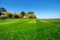 Perfectly striped freshly mowed garden lawn Royalty Free Stock Photo