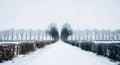 Symmetrical winter pathway lined with bare trees and hedges under a cloudy sky Royalty Free Stock Photo