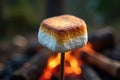 Perfectly toasted marshmallow on campfire stick, roasting, night