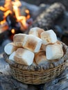Perfectly Toasted Marshmallows Ready for S\'mores by a Warm, Glowing Campfire