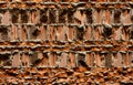 Perforated cavity brick wall textured background