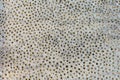perforations in the concrete wall of the old temple. unusual surface texture with holes. Close-up. Work of the perforator Royalty Free Stock Photo