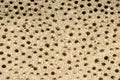 perforations in the concrete wall of the old temple. unusual surface texture with holes. Close-up. Work of the perforator Royalty Free Stock Photo