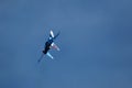 Performance of the aerobatic team Russian Knights, Russian Air Force. planes Sukhoi Su-30SM, NATO code name: Flanker-C Royalty Free Stock Photo