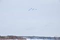 Performance of aerobatic team Russian Knights at the air show..Omsk, Russia - 19 March, 2016: Performance of Russian Knights at