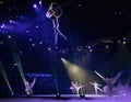 Performance of a dance group and aerial gymnasts