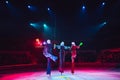 The performance of stilt-walkers in the circus