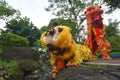 Performances of lion dancers