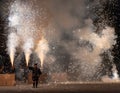 Tezutsu Hanabi ( hand-held Fireworks Festival )